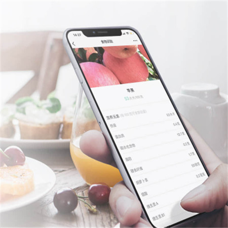 健康饮食查询;人工智能与机器人产业平台智能产品