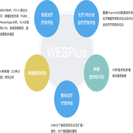肿瘤WESPlus 全外显子组基因检测;章鱼通智能产品