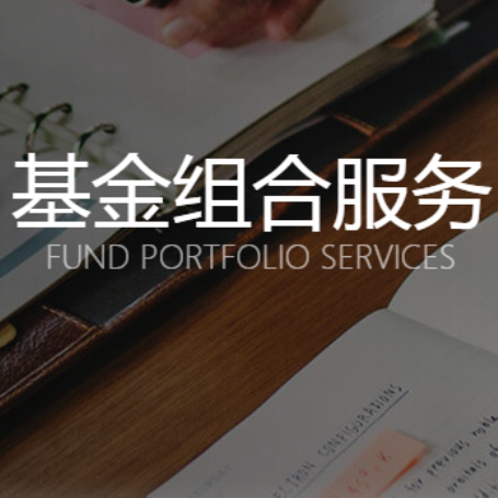 定制基金组合服务;人工智能与机器人产业平台智能产品