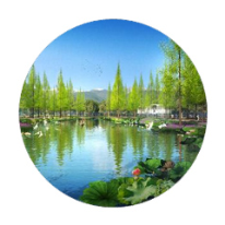 T02-水系净化;人工智能与机器人产业平台解决方案