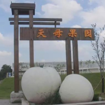 上海天母果园;人工智能与机器人产业平台应用案例
