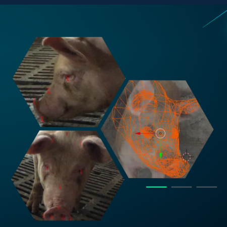 猪脸识别;章鱼通智能产品