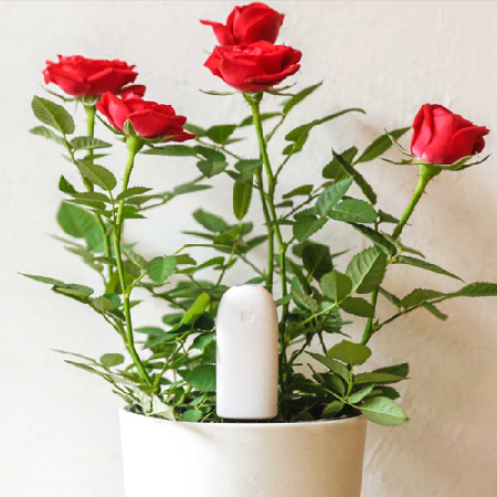 花花草草监测仪;人工智能与机器人产业平台智能产品