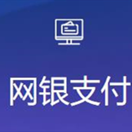 网银支付;章鱼通智能产品