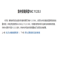集中安装多套RAC 11.2.0.3;人工智能与机器人产业平台应用案例