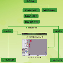 自交系相似性检测;章鱼通解决方案