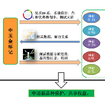 金希望-育种创新共享平台;人工智能与机器人产业平台解决方案