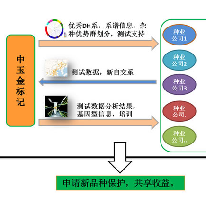 金希望-育种创新共享平台;章鱼通解决方案