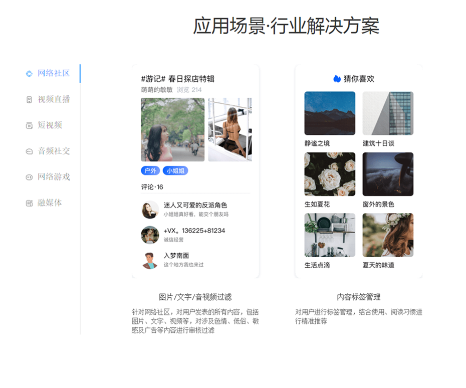 TU520科技-TupuBrain互联网AI云服务-图像识别-语音识别-内容审核_副本.png