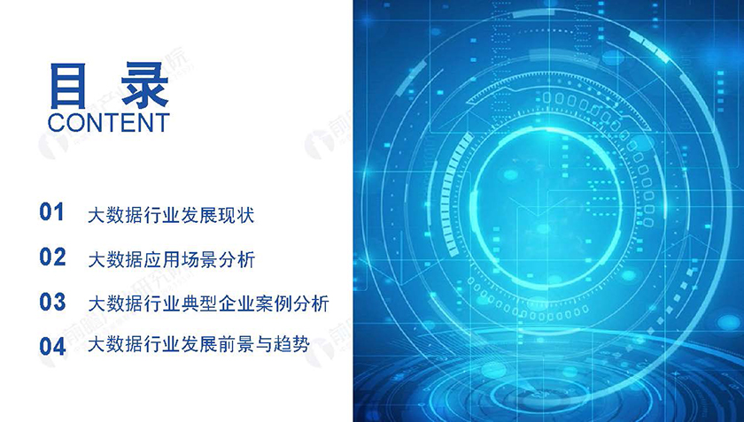 2019年中国大数据行业研究报告_页面_02.jpg