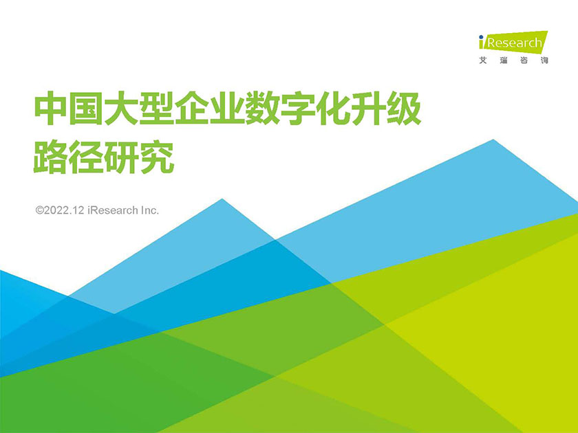 2022年中国大型企业数字化升级路径研究-艾瑞咨询-2022.12-82页_页面_01.jpg